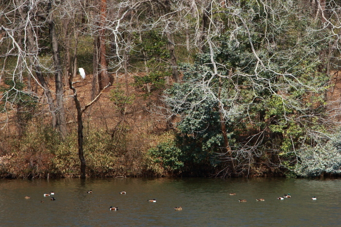 e0165983_14021526.jpg