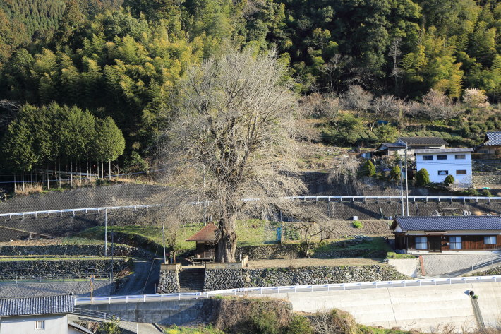 c0358784_22060629.jpg