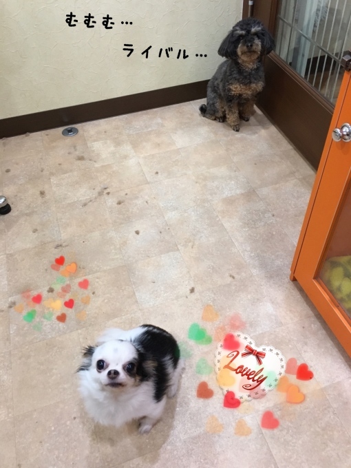 d0269898_11100718.jpeg