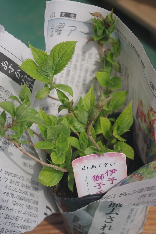 c0147909_16114403.jpg