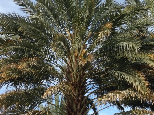 a0331910_13090241.jpeg