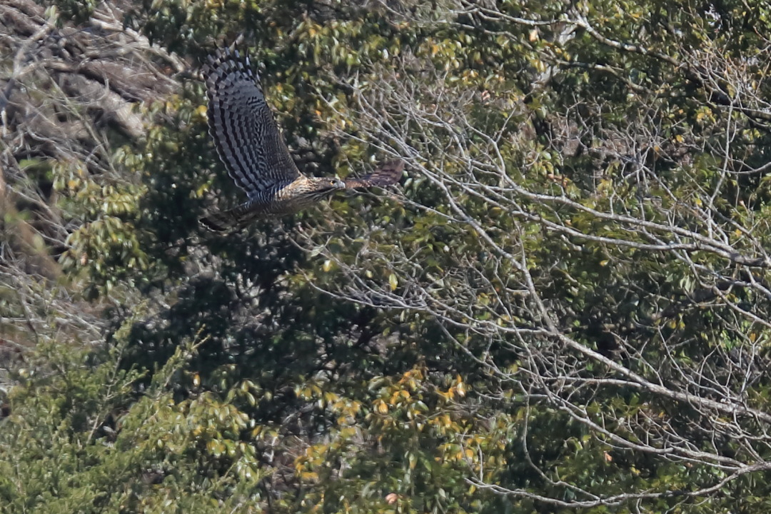 f0288418_11172813.jpg