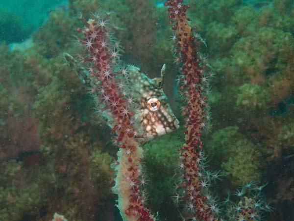 2019年3月16日（土・晴れ）甲浦_d0164831_17022084.jpg