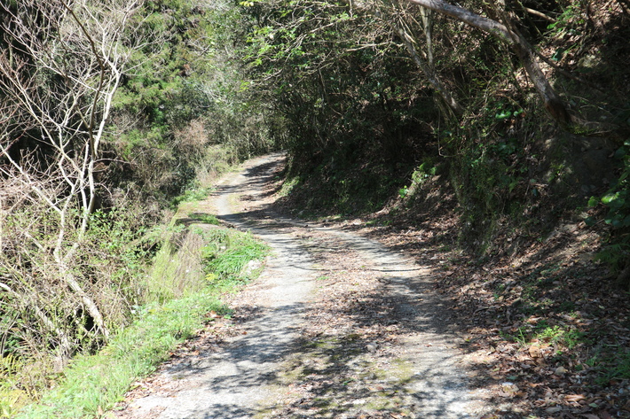 e0272335_17411224.jpg