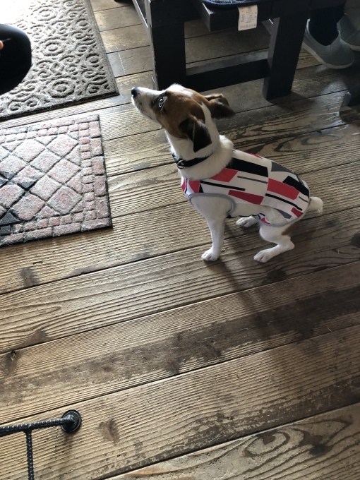 b0369239_10392510.jpeg