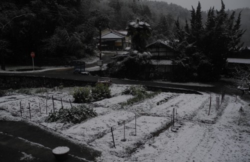 d0165740_10095897.jpg