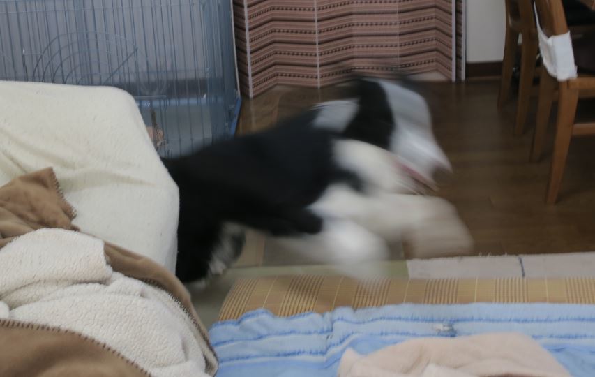 c0147241_21091847.jpg