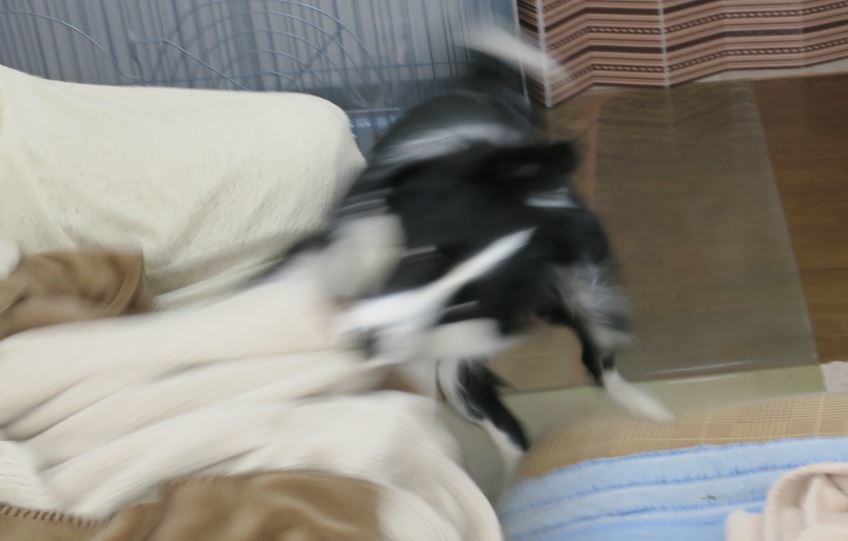 c0147241_21092212.jpg