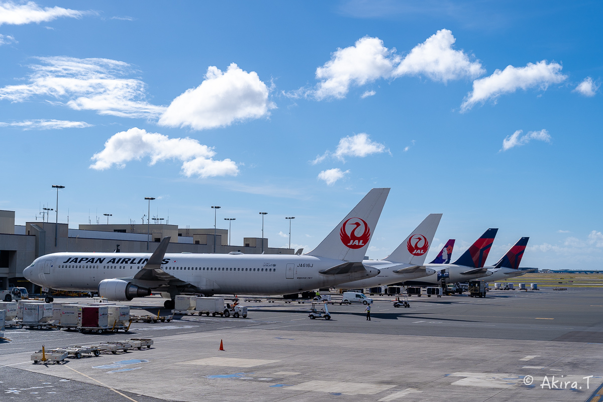 ハワイ -23-_f0152550_22105500.jpg