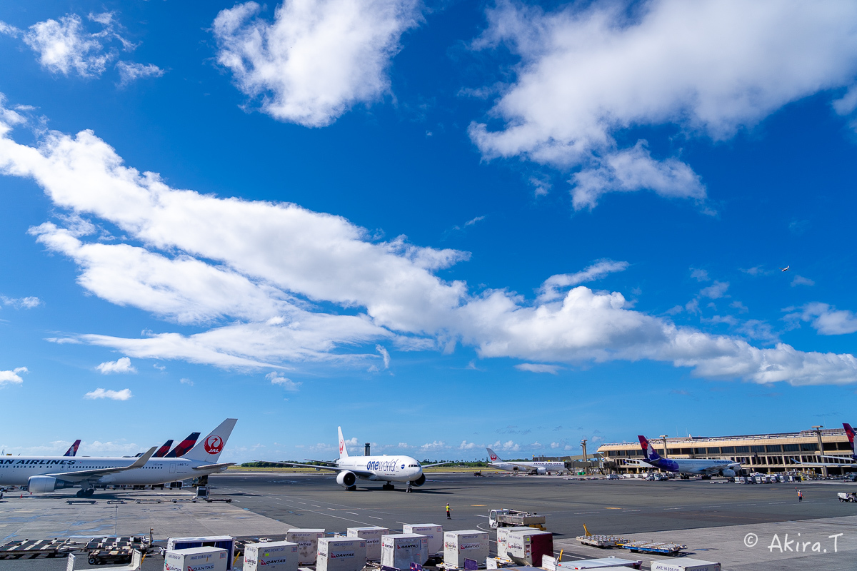 ハワイ -23-_f0152550_22134286.jpg