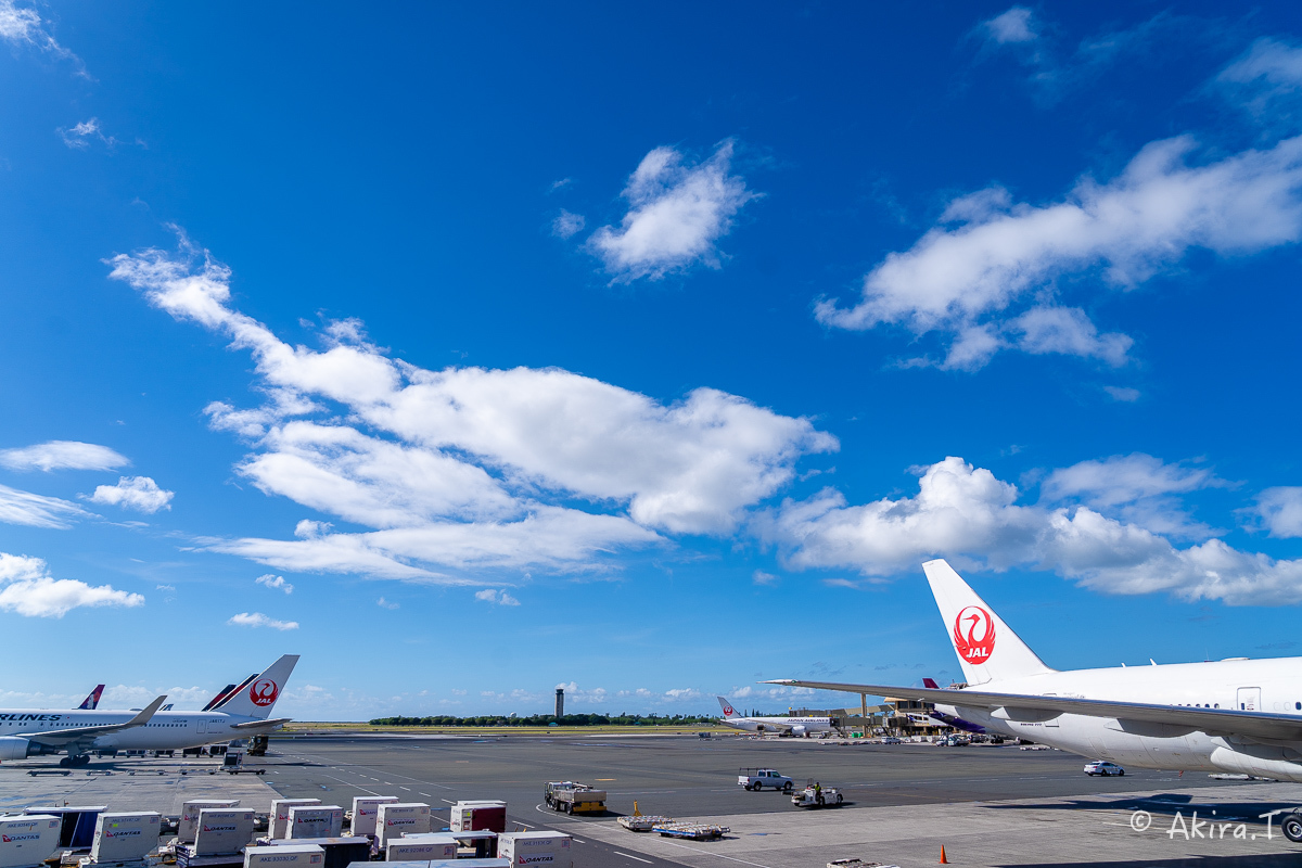 ハワイ -23-_f0152550_22143374.jpg