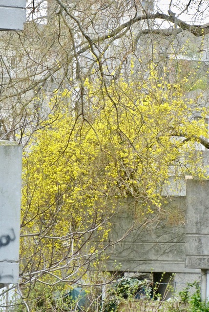 f0221050_10033177.jpeg