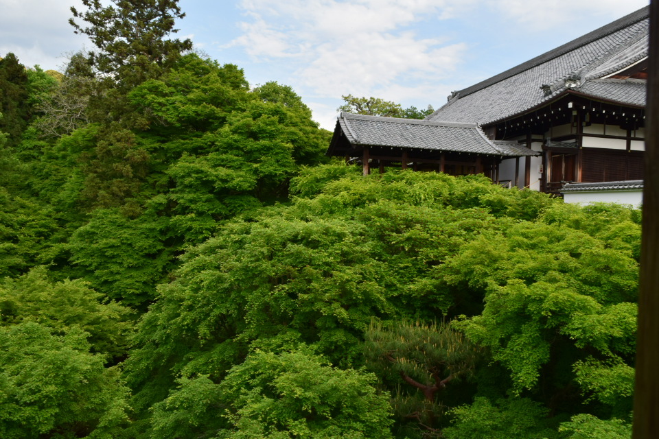 京都市東山区の東福寺_a0110756_02582286.jpg