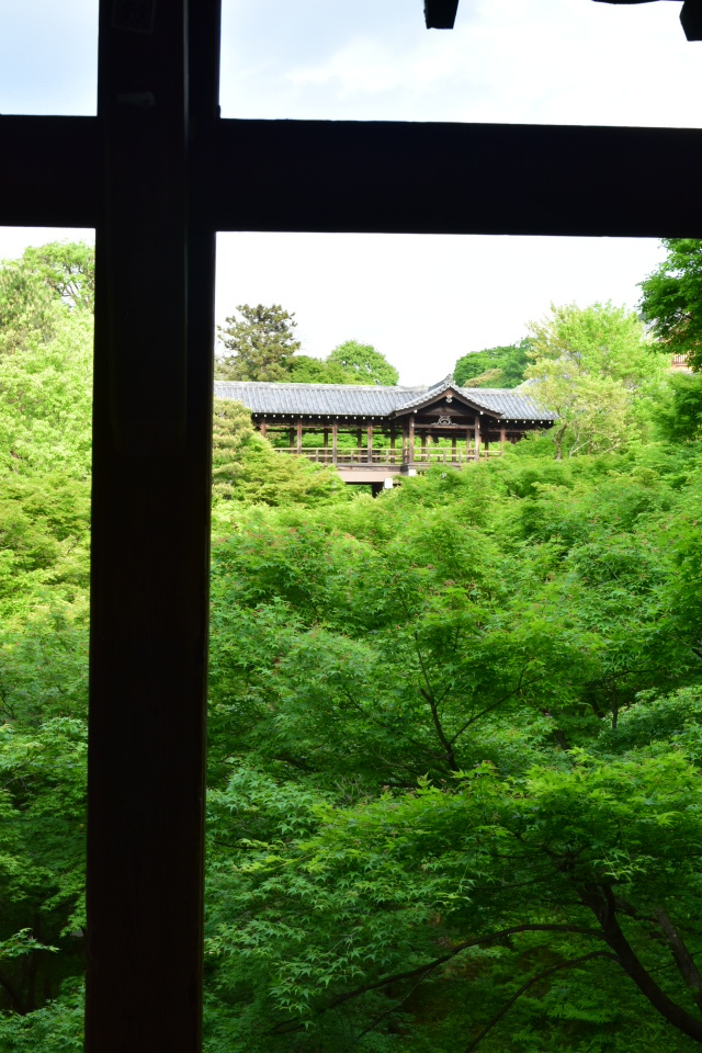 京都市東山区の東福寺_a0110756_03044505.jpg