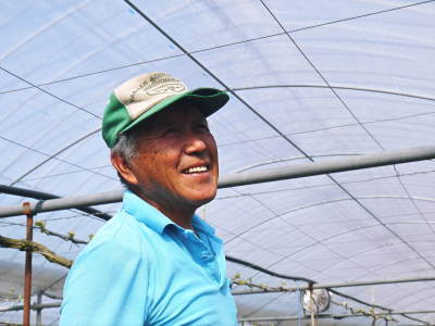 熊本ぶどう 社方園 芽吹き2019 前編:芽吹いたばかりの新芽を早くも芽カギ?_a0254656_18182111.jpg