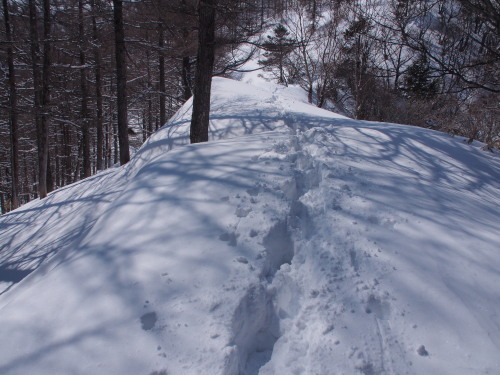 b0335256_15134200.jpg