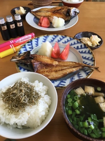 先を思うと不安になるから今日のところは寝るしかないねウィークランチ_f0082056_15474673.jpg