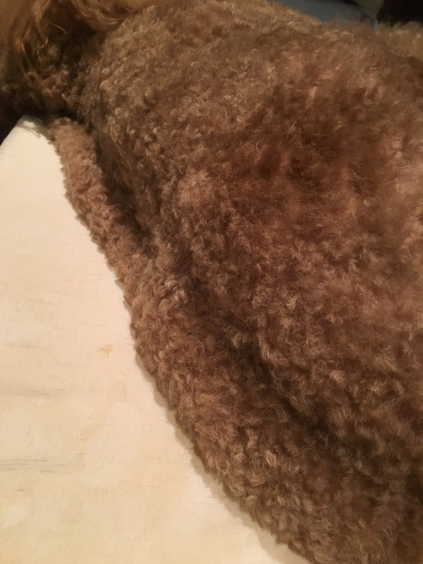 c0283778_19553186.jpeg