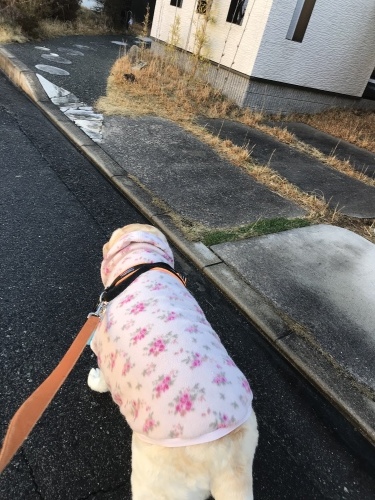 f0315081_22223715.jpeg