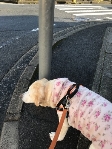 f0315081_22233427.jpeg