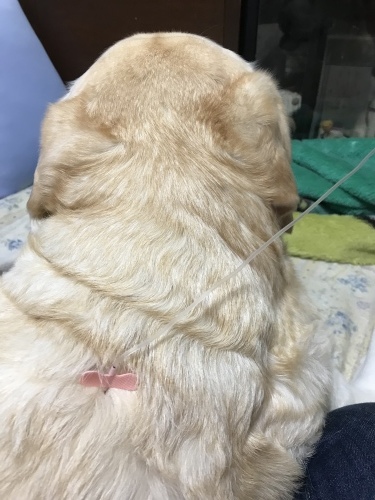 f0315081_22280154.jpeg
