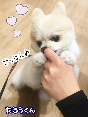 可愛い仕草♥♥_f0357682_16251110.jpg