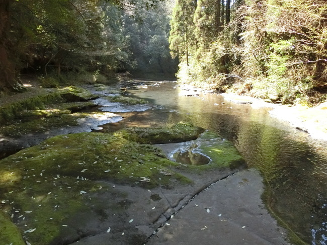 e0294183_17283560.jpg