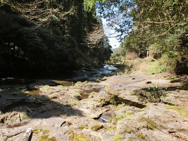e0294183_17285346.jpg