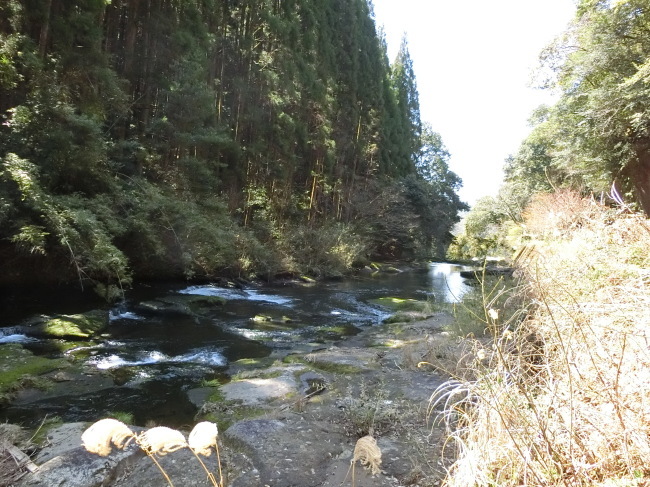 e0294183_17290792.jpg