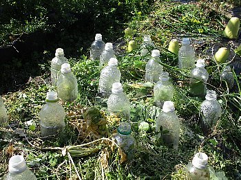 f0003283_07551846.jpg