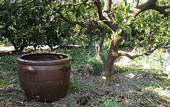 f0003283_07553625.jpg