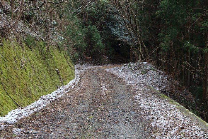 c0358784_23095559.jpg