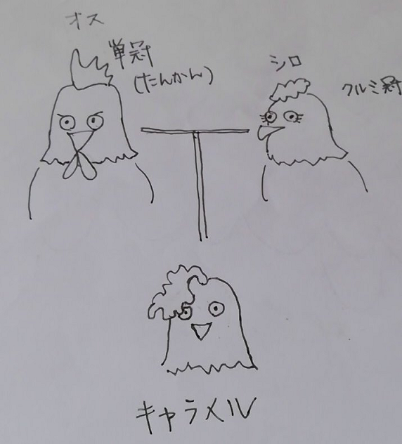 f0234590_10051530.png