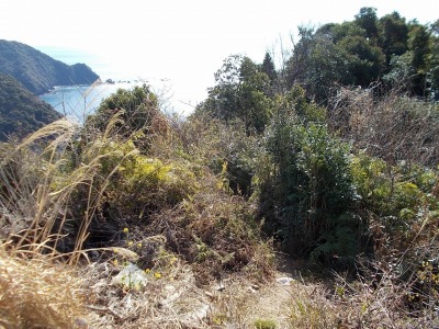 f0308898_14310030.jpg