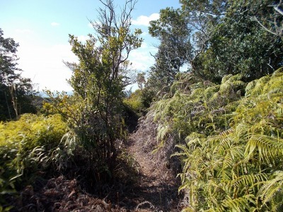 f0308898_14315156.jpg
