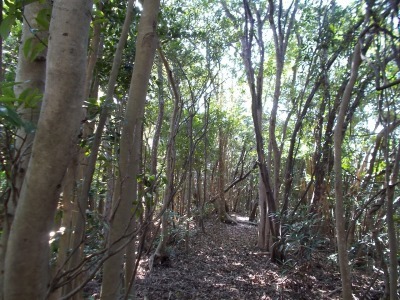 f0308898_14322459.jpg
