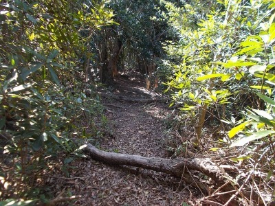 f0308898_14323399.jpg