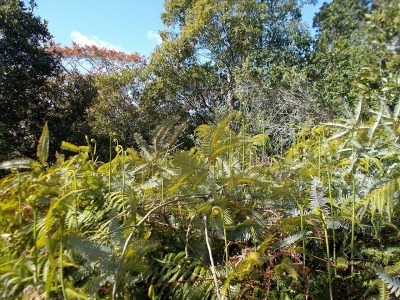 f0308898_14331620.jpg