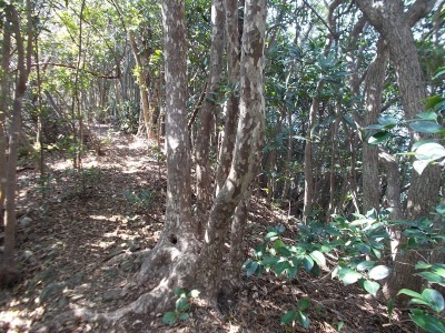 f0308898_14371436.jpg