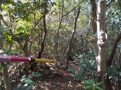 f0308898_14373149.jpg