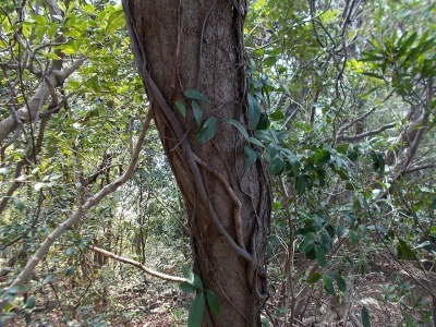 f0308898_14381765.jpg