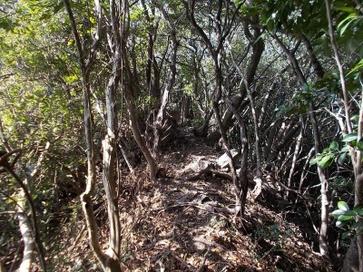 f0308898_14382504.jpg