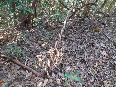 f0308898_14384219.jpg