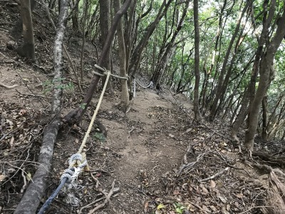 f0308898_14411097.jpg