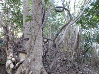 f0308898_14412839.jpg