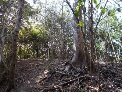 f0308898_14414455.jpg