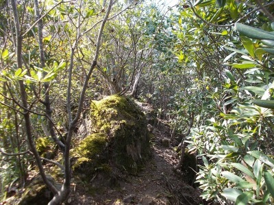 f0308898_14420624.jpg