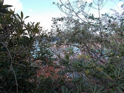 f0308898_14423823.jpg