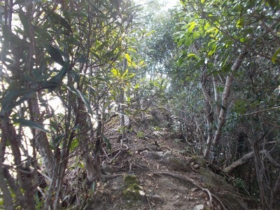f0308898_14424609.jpg