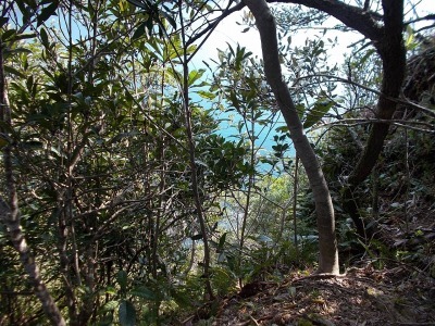 f0308898_14425429.jpg